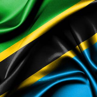 Flag Of Tanzania