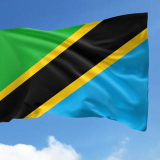 Flag Of Tanzania