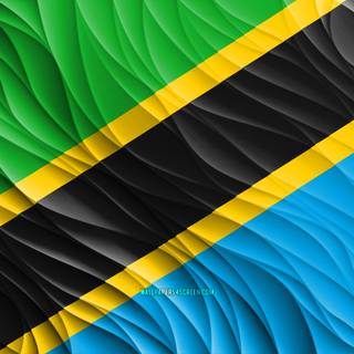 Flag Of Tanzania