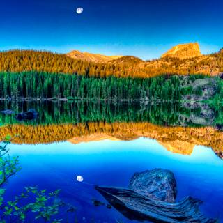 Moon Reflection Wood Nature Lake