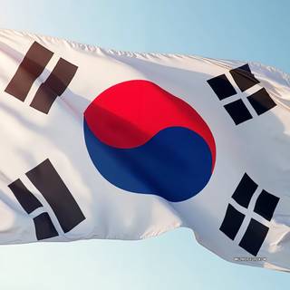 Flag Of South Korea