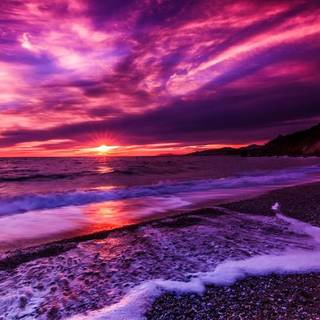 Purple Sunrise (Island)