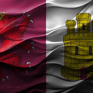 Flag Of Caceres