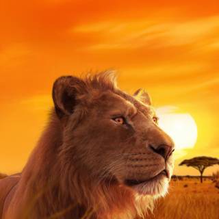 The Lion King HD Wallpaper 