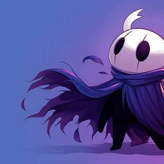 Hollow Knight 