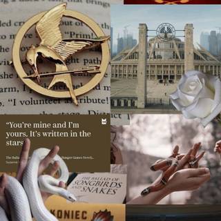 ballad of songbirds and snakes