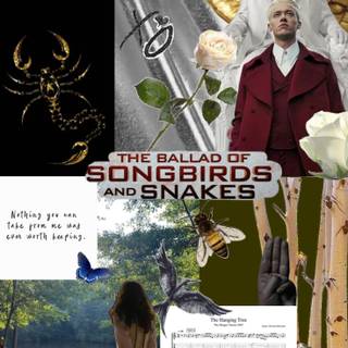 ballad of songbirds and snakes