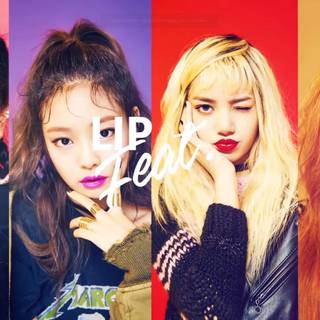 Blackpink Fashion Wallaper computer version
