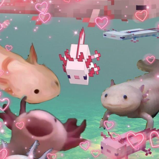 axolotl core<3