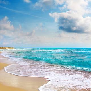 plajă și coastă oceanică