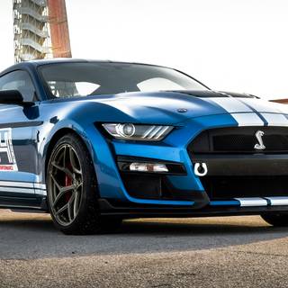 Ford Mustang GT500 Thrills at Circuit of The Americas