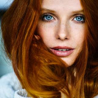 Redhead Freckles Blue Eyes Portrait Woman Face