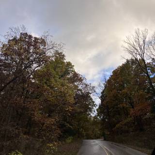 took this picture myself