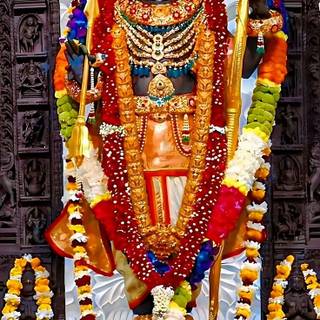 Ram Murti from Ayodhya Temple 