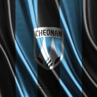 Cheonan City FC