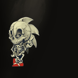 Sonic Skeleton 
