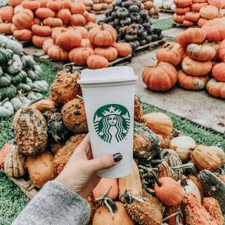 Starbucks pumpkin