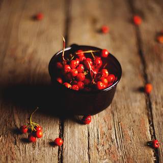 Fructe de pădure rowan roșii