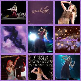 TS Speak Now