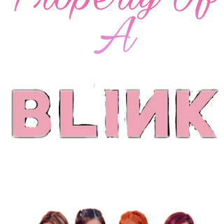 BLACKPINK dont touch property of a blink phone wallpaper