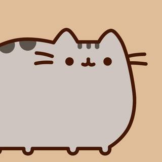 Pusheen pc  Wallpaper