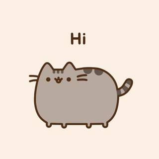 Pusheen  phone Wallpaper