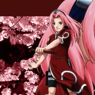 Sakura Naruto