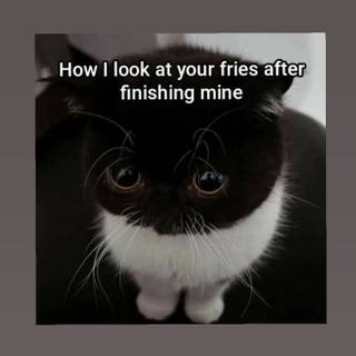 pov: me looking at twin 