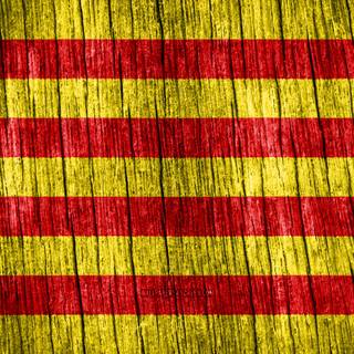 Flag Of Catalonia
