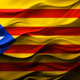Flag Of Estelada Catalonia