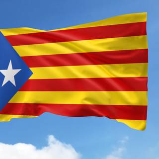 Flag Of Estelada Catalonia