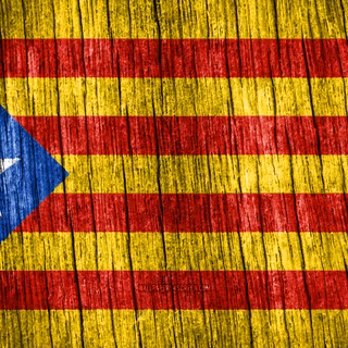 Flag Of Estelada Catalonia