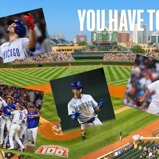 Cubs 2024 slogan wallpaper