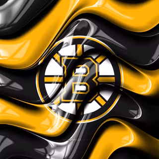 Boston Bruins