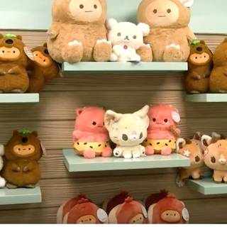 Pika pika go check it out downtown bend so cool and make sure to get something  at the cafe so cute