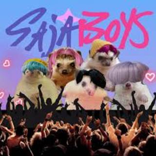 funny weird cats as the saja boys