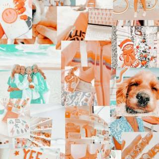 Preppy summer collage wallpaper ( i like preppy things)