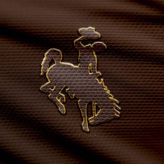 Wyoming Cowboys & Cowgirls