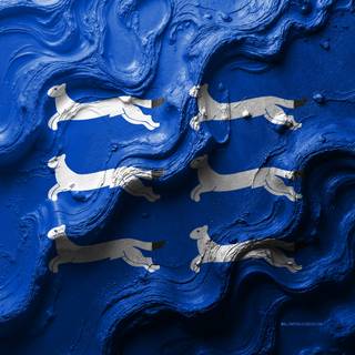 Flag Of North Ostrobothnia