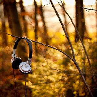 căști Sony WH-1000XM3, care sunt agățate de o creangă 