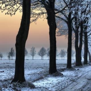 peisaj rural de iarnă