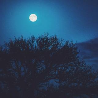 Blue Moon