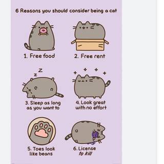 Do u guys want to be a cat