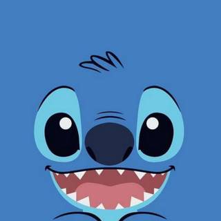 STITCH bitch