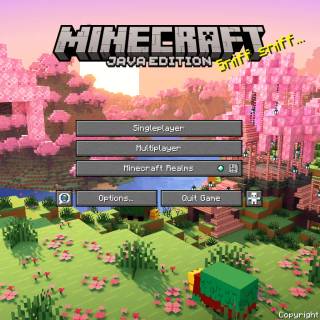 Minecraft 