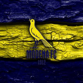 Modena FC 2018