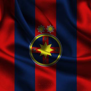 FCSB
