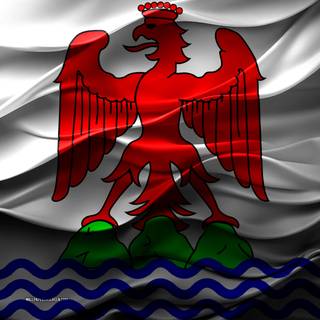 Flag Of Nice