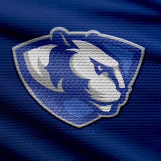 Eastern Illinois Panthers