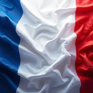 Flag Of France